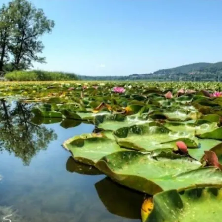 Maggiore Country شقة Mercallo