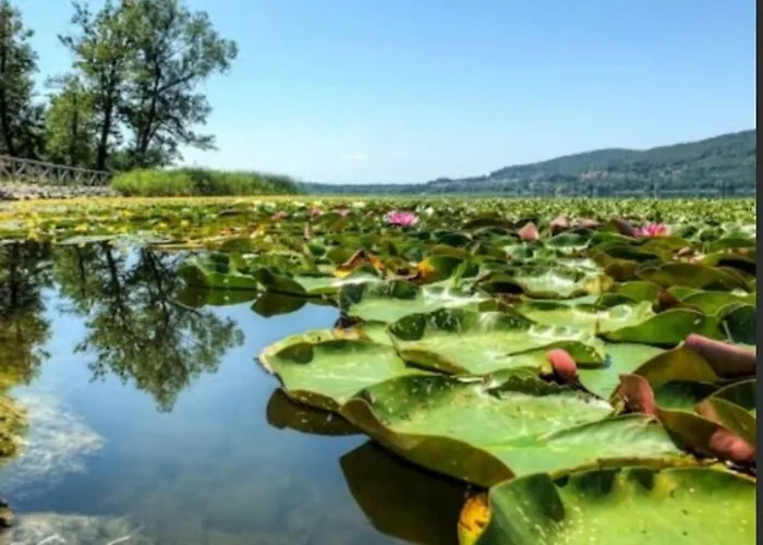 Maggiore Country شقة Mercallo